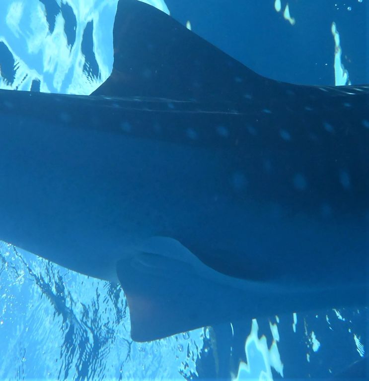 d45b8fd6-caef-4a39-8bcd-15687b199bf0