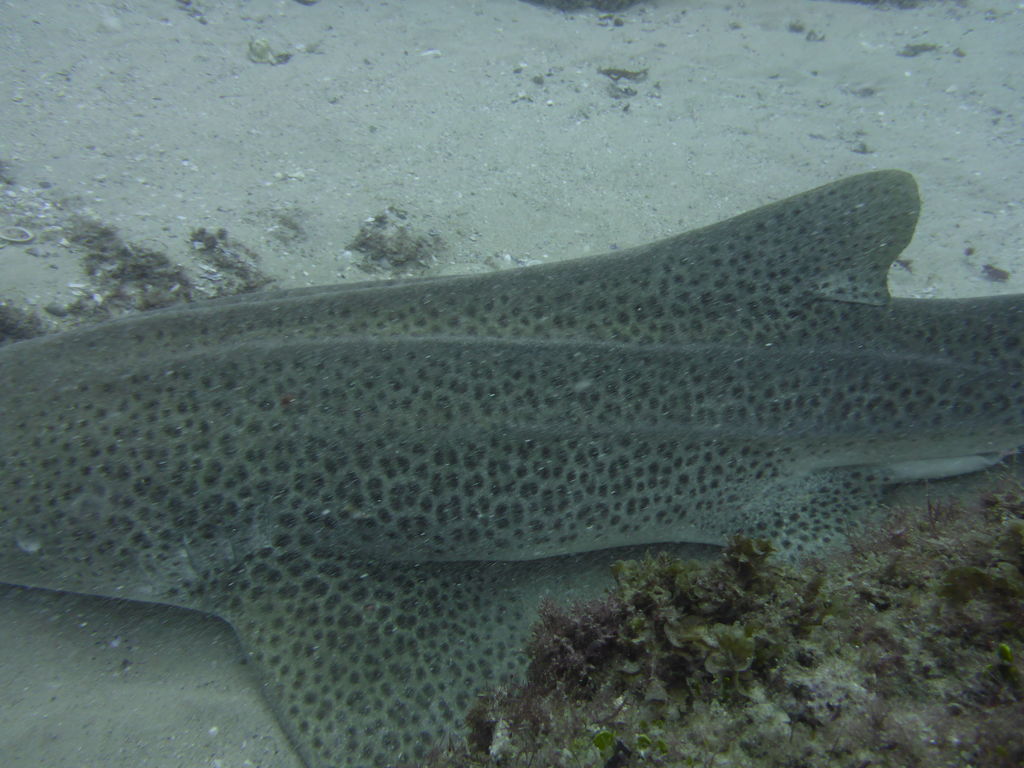 0900acb2-c79b-4886-a2e7-a80f66418da6