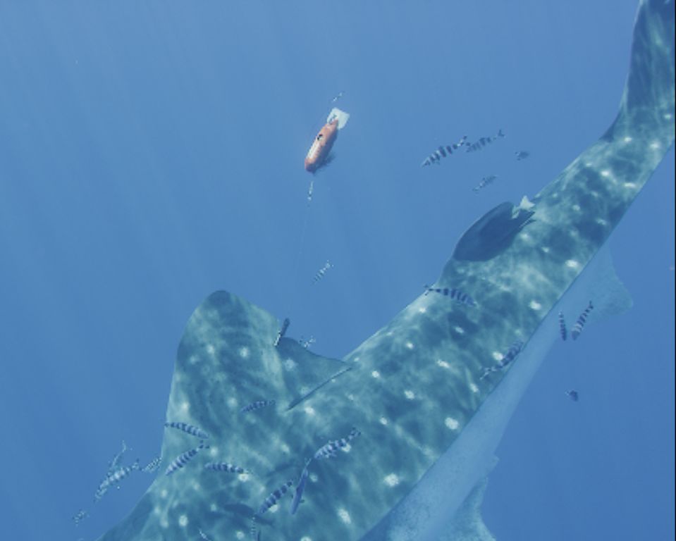 ae3770c4-6cc9-4c78-ba9a-dcdcedacdb35