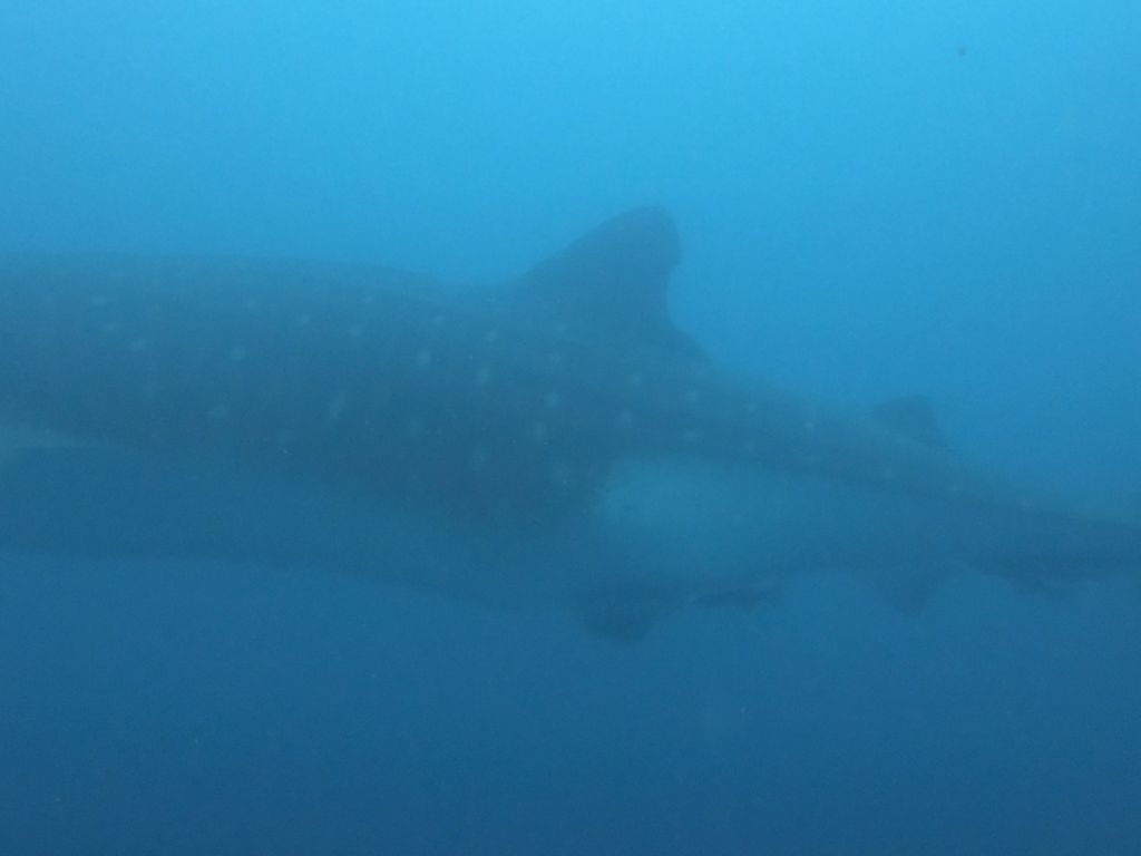 65d6f621-ea04-48db-a974-9755ed565ee0