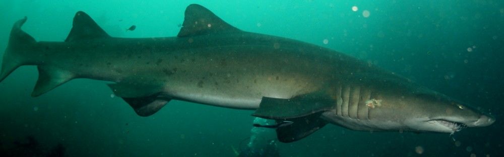 70abd634-7df4-4a04-a04a-f9c383caece8