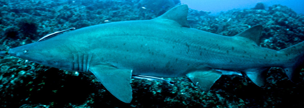 0e93db59-0678-498b-ac8d-457fe0a905bf