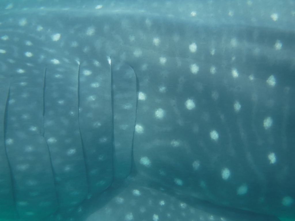 c6204b57-bf52-4465-b3a4-f0bd7ed349d2