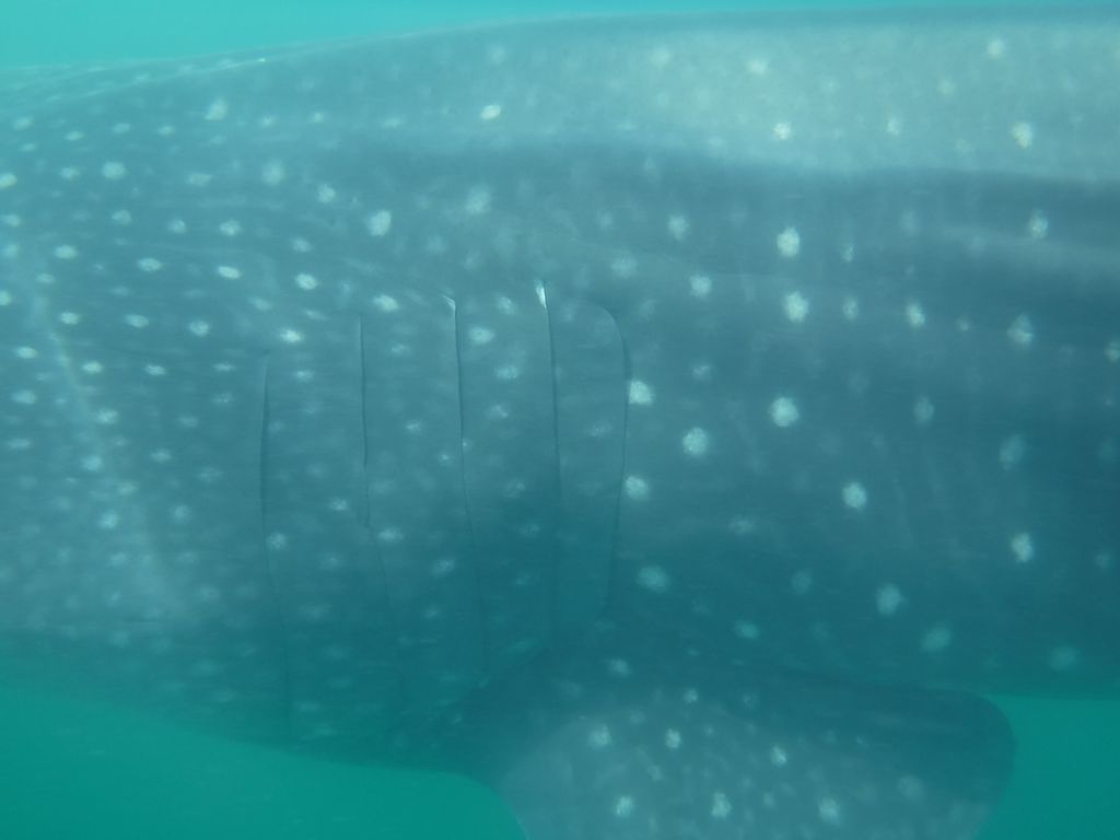 c6204b57-bf52-4465-b3a4-f0bd7ed349d2