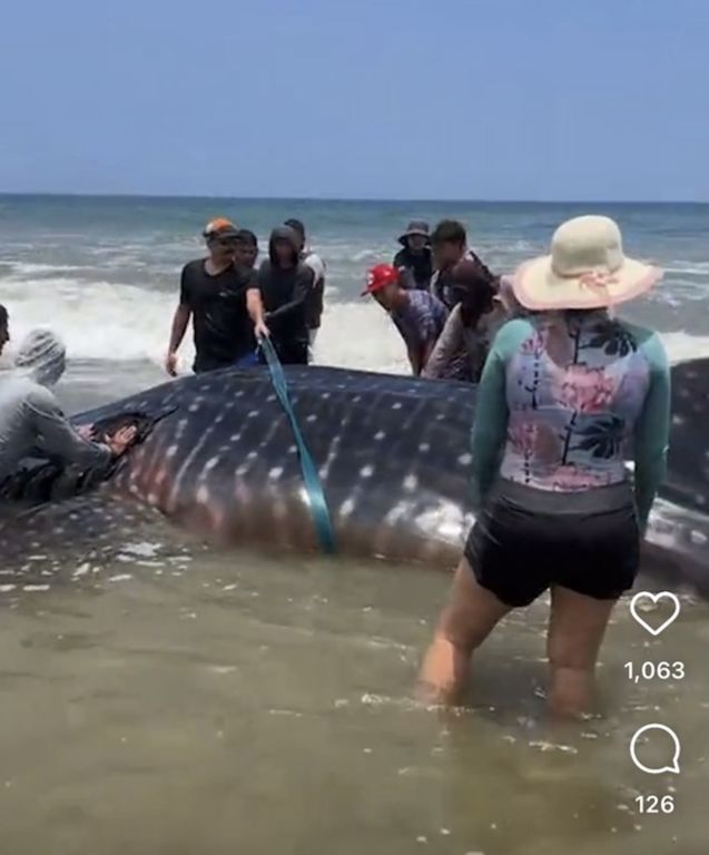 48b2db29-a75a-4981-9f99-ee9d5868bdd4