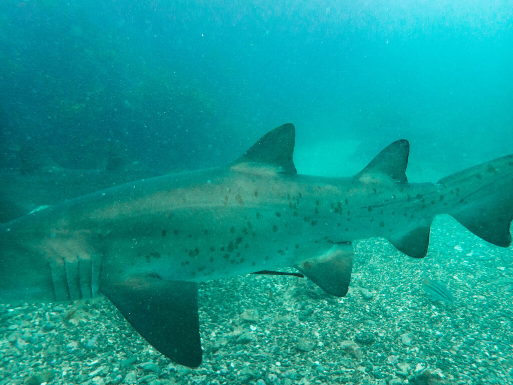 96eb23b2-6d68-4833-80ff-64b30cbcdb79