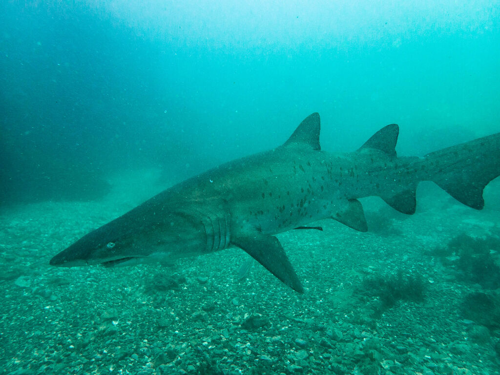 96eb23b2-6d68-4833-80ff-64b30cbcdb79