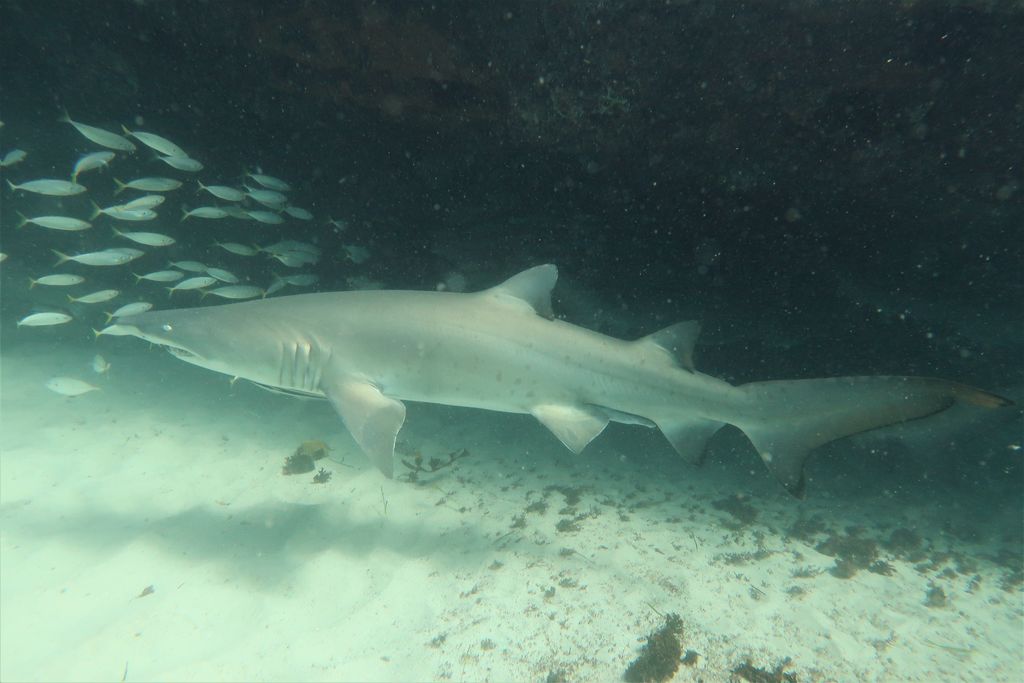 2dd01560-adc1-484c-bb6d-ac0c6d096335