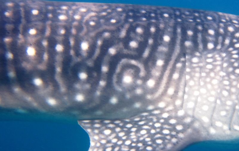 0d3a304c-21f0-4ff7-a816-428f4efdac2e