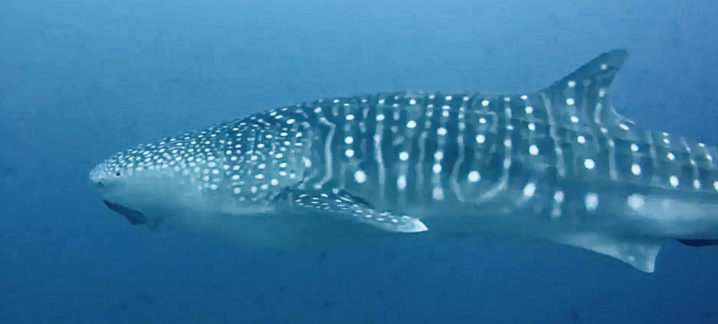 64a8c9f0-c39e-44e3-8725-9908fb6ce51a