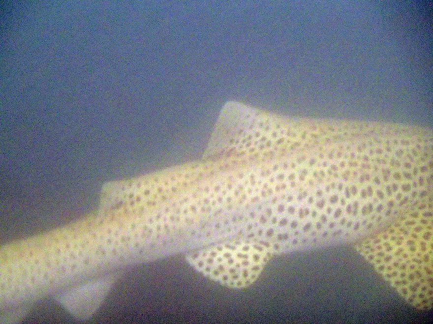 e8db6b52-ced5-4622-bd23-80420fb04af1