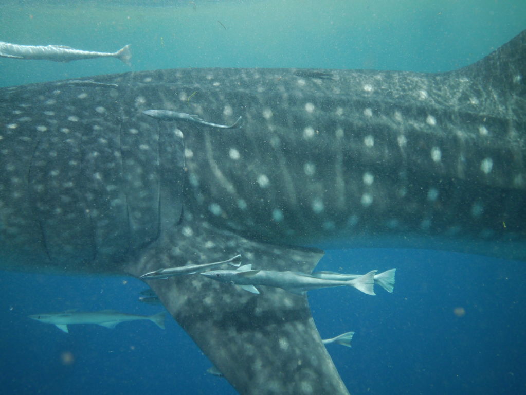 b124358c-2439-49c6-9e1a-e3936a61c465