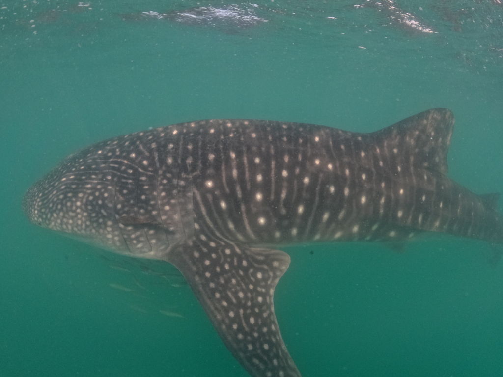 dbe93bc6-9205-4f59-ab18-f30e70d2b15e