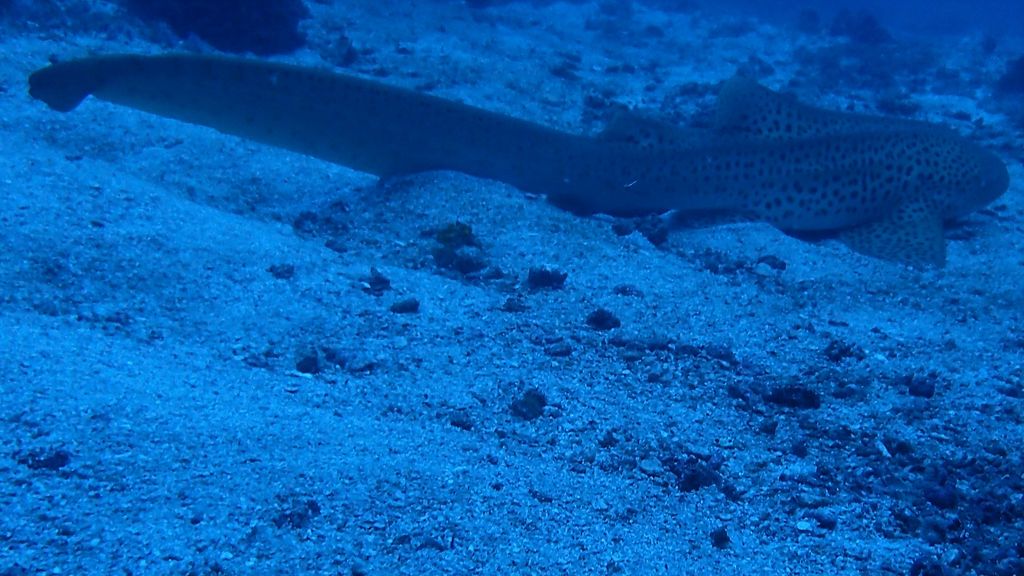 48487be7-9a65-4151-9571-75f1debc1042