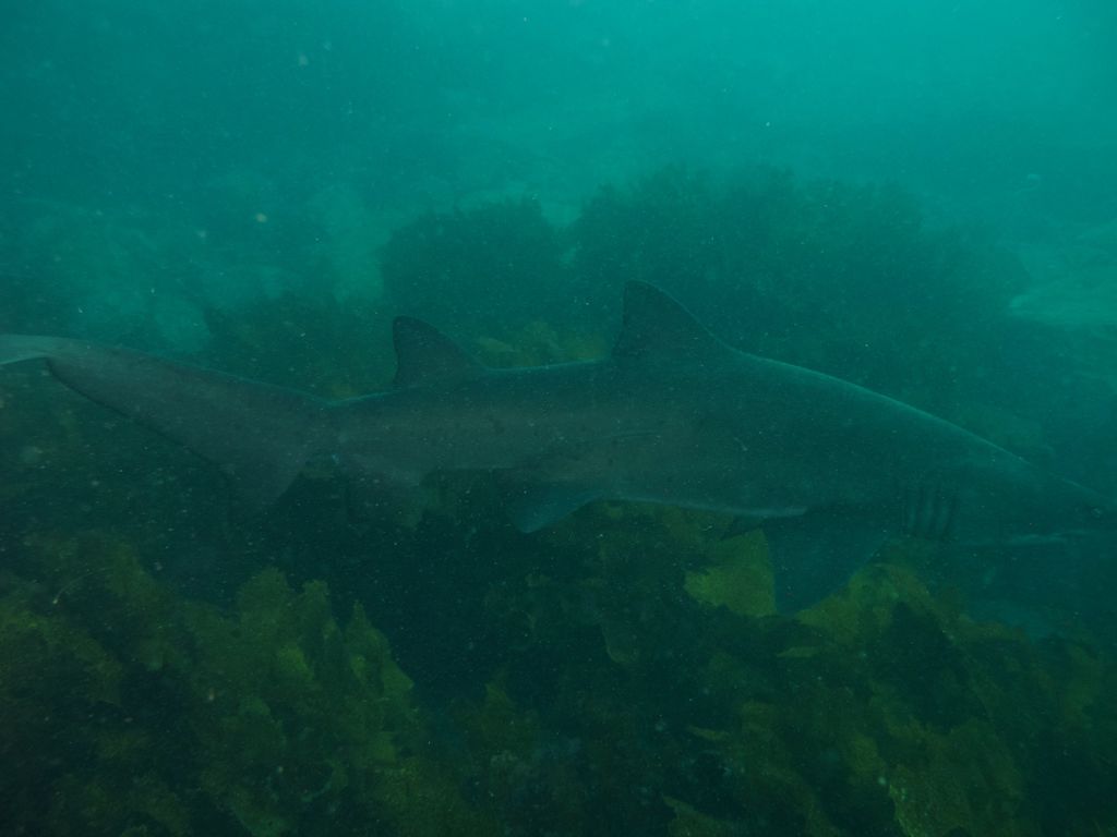 f7fa275b-f098-442b-a6a3-515865f2f4f1