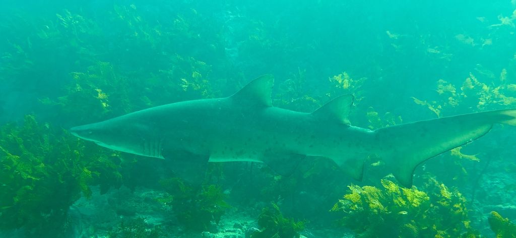 79e877b6-09cd-4d3e-ad1a-dd4347172f8e