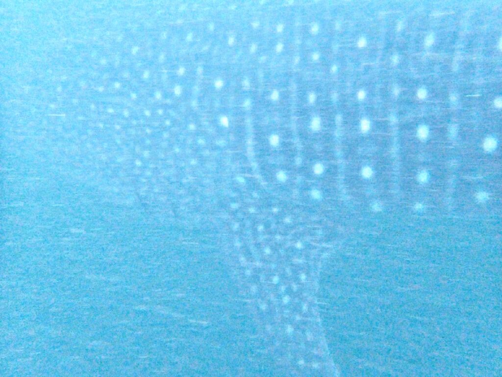 c255fd77-5100-4e7e-87b9-0b321bb28710