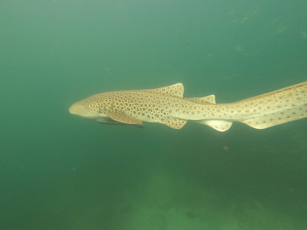 b86a70f1-167d-4770-9c53-54c46d619b00