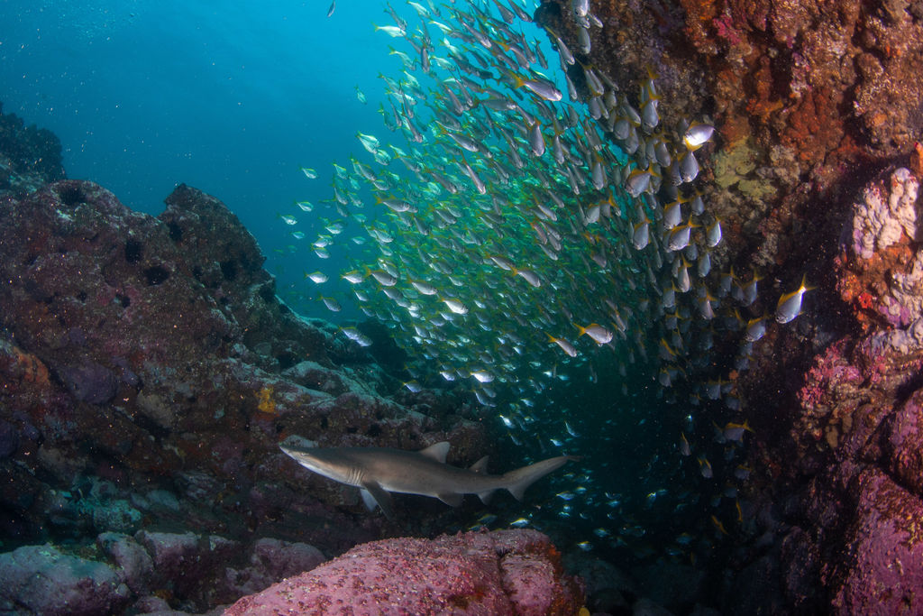 dc44fc22-d873-404e-827c-73e1bc7fd42d