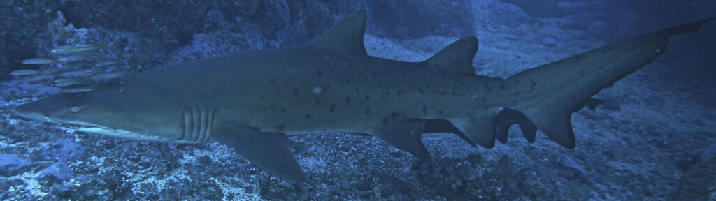 7bdf13da-5b19-4892-bb06-76417cda564c