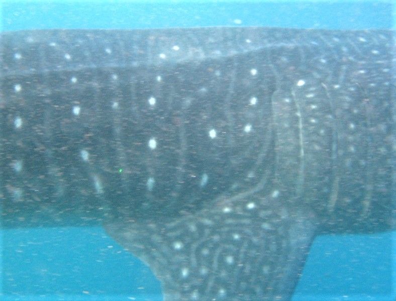 75faa009-0e41-4327-86f5-54256d56b904