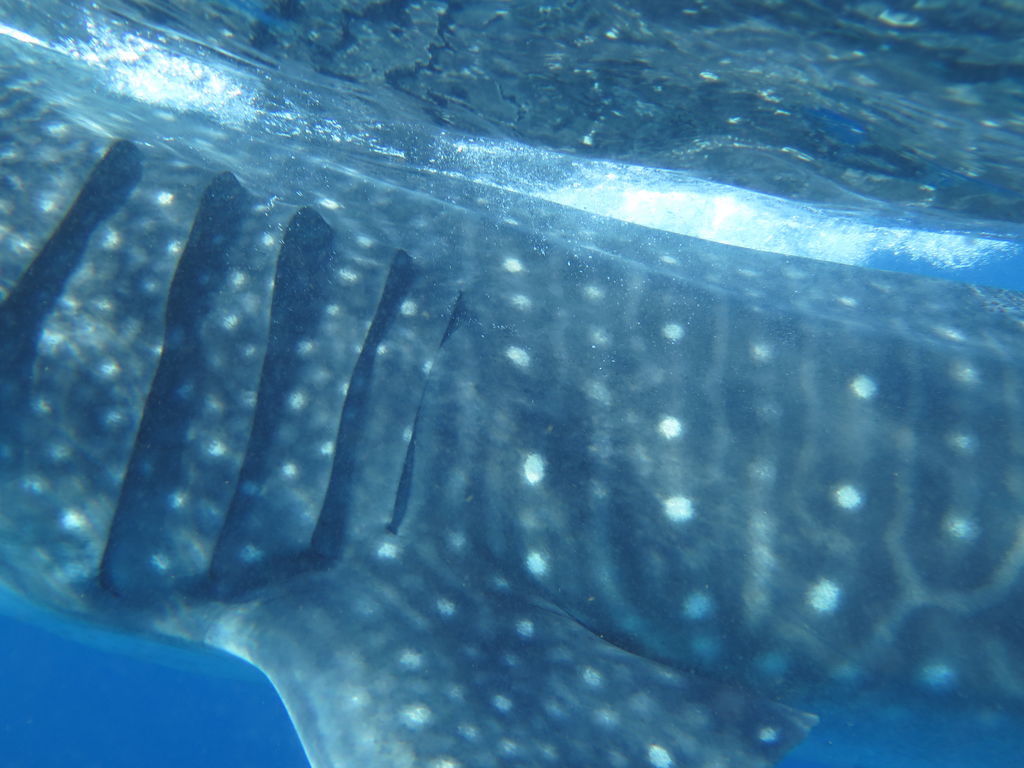 5ac5bb89-1d8a-4b28-bc38-2bc9a9caf57a