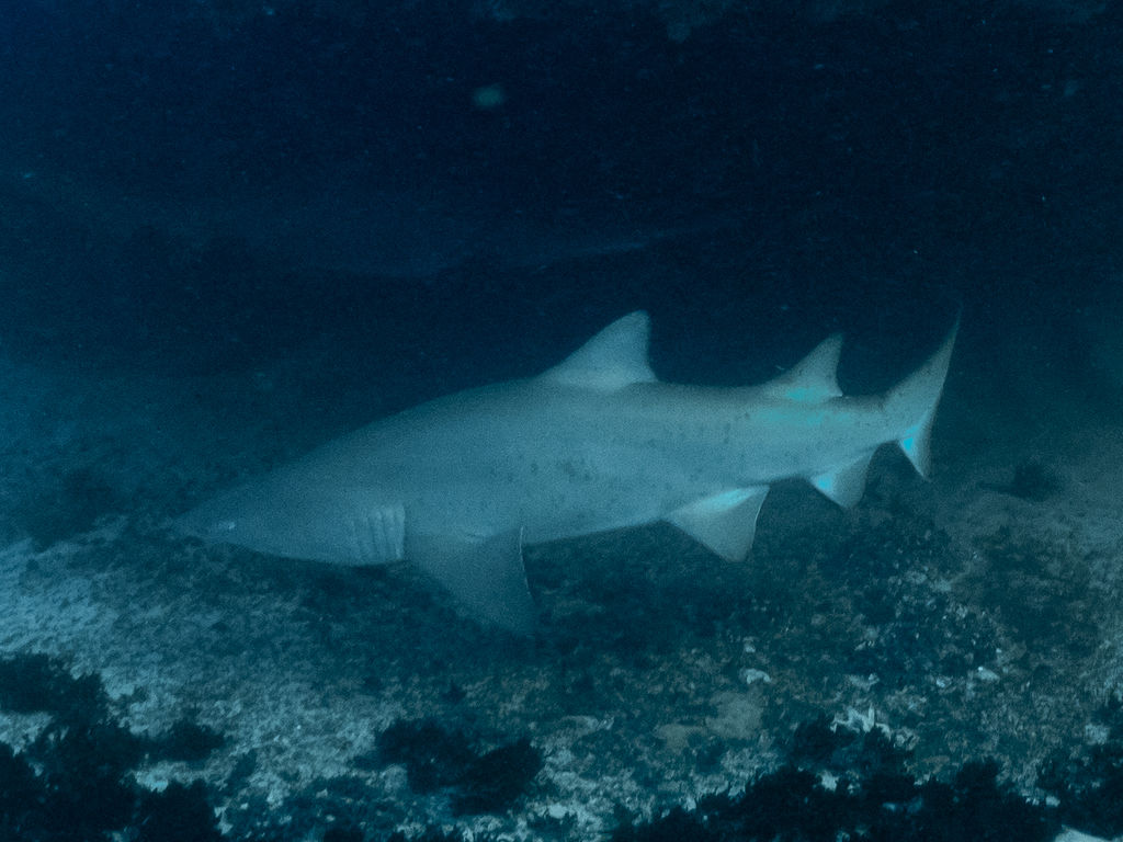 fd9f9ca6-43a1-4d98-a270-37d54ff4961e