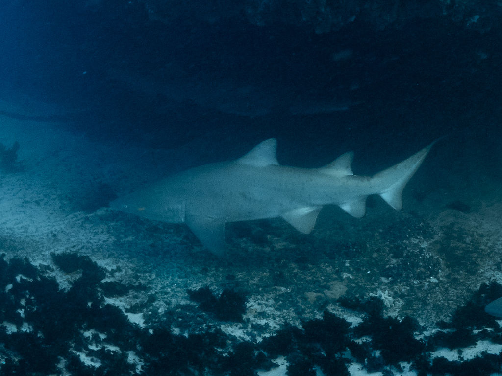 fd9f9ca6-43a1-4d98-a270-37d54ff4961e