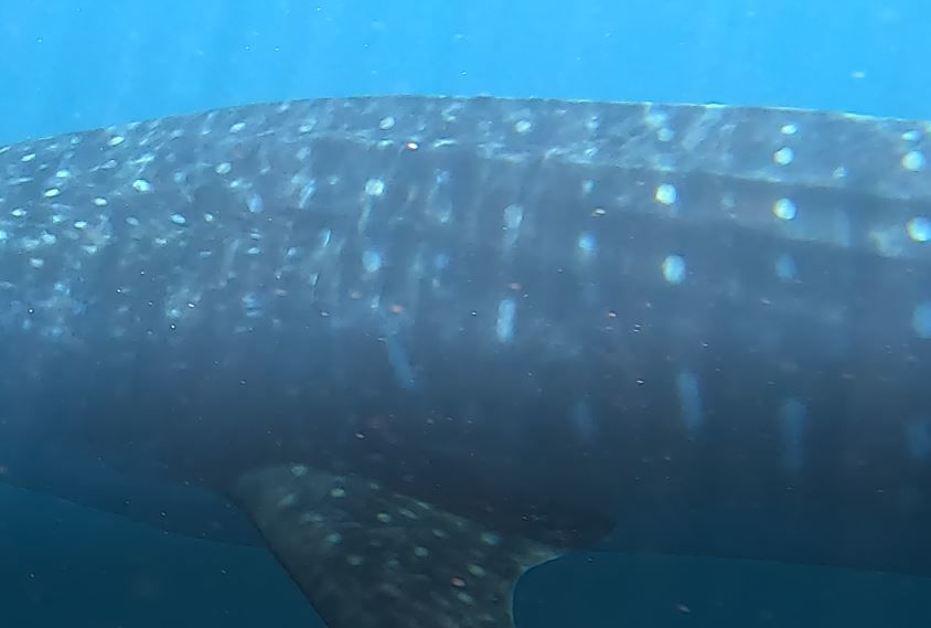 05e95aa7-86d2-4542-ae88-922ffac01003