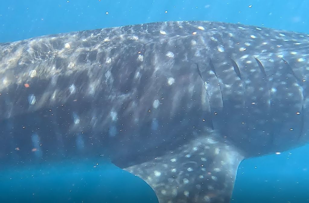 05e95aa7-86d2-4542-ae88-922ffac01003