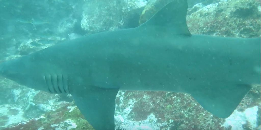 df02599d-63b4-4417-98b6-78f1c1c9e924