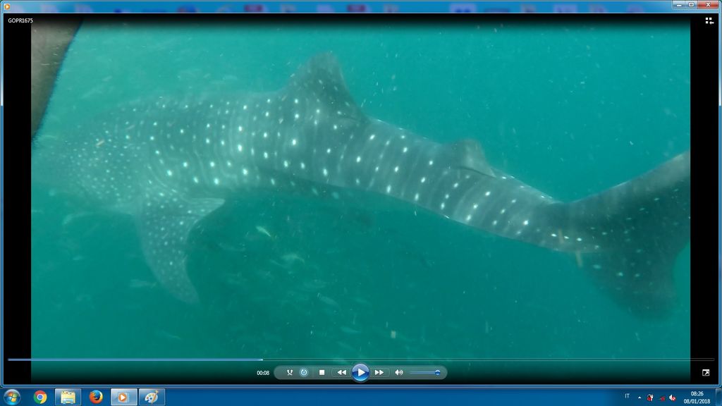 dcc666d8-664a-43a3-bba4-04a94f7bff40