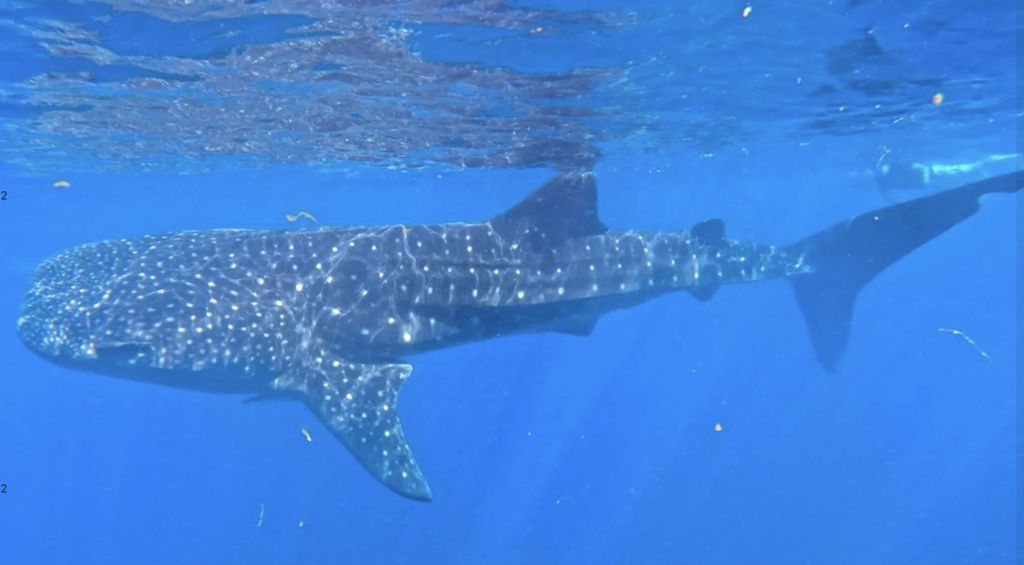 f371b8b8-271f-4de7-b55b-234ec0c6644c