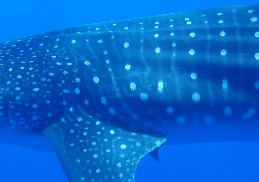 d61373ec-89de-48b5-b47d-550004317c1e