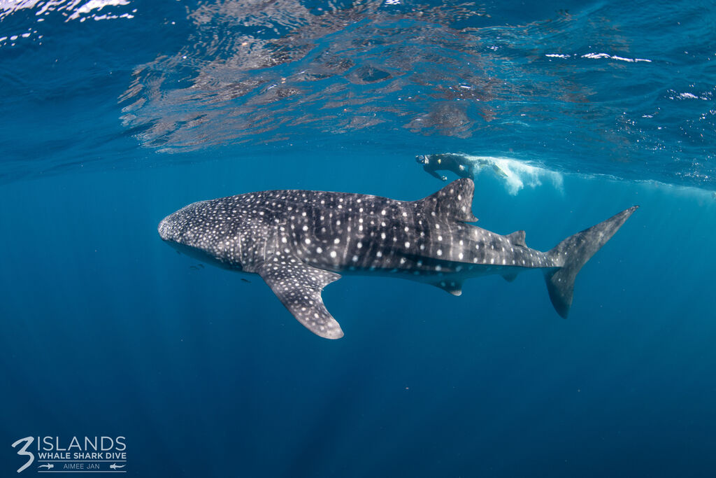 189dd825-b7a3-475d-a488-3f09e9efdce1