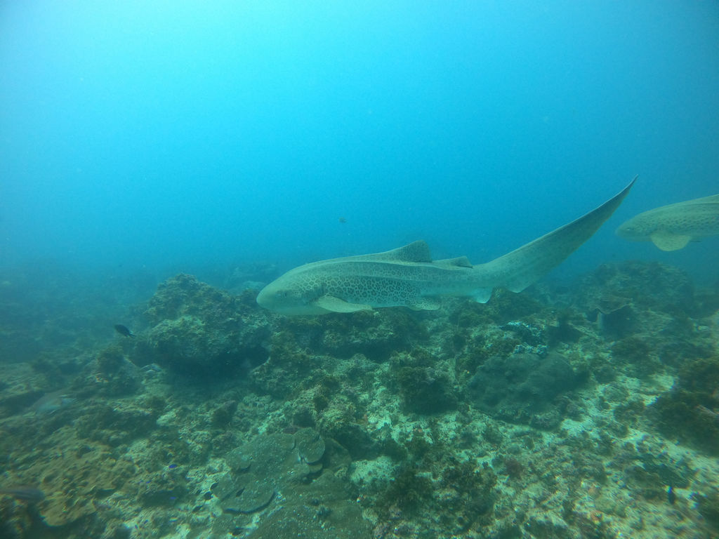 63a2f205-8804-4fcd-a2b2-41aa04b8f245