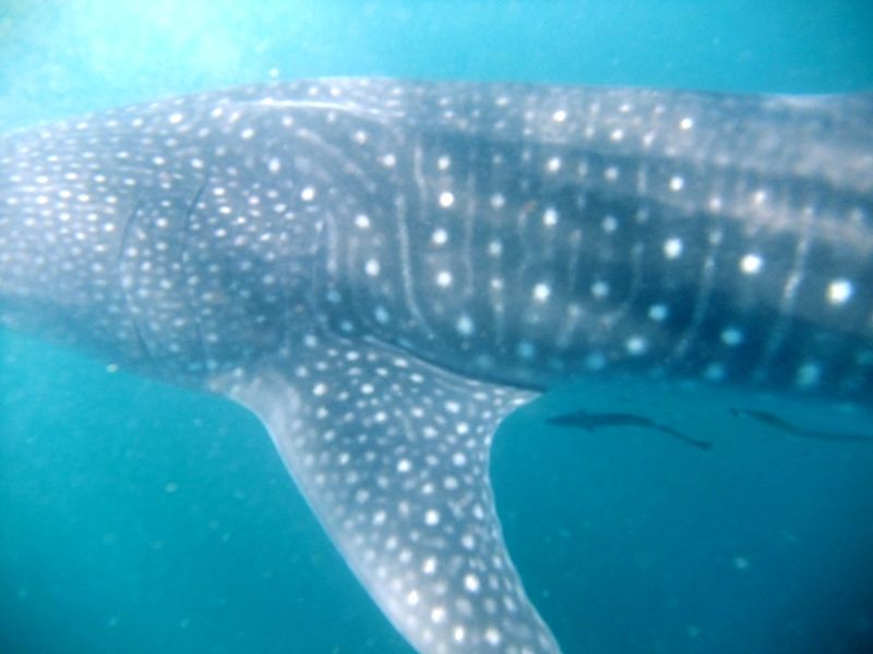 b9595583-b50d-4efe-a252-68b21f9d5b95