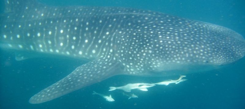 b9595583-b50d-4efe-a252-68b21f9d5b95