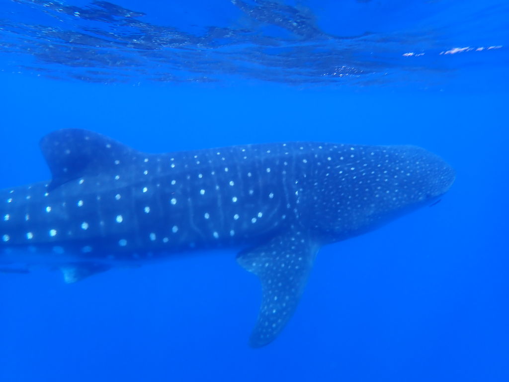 ca0455ed-bc6d-4e5a-ac88-7e7e7fb66cb7