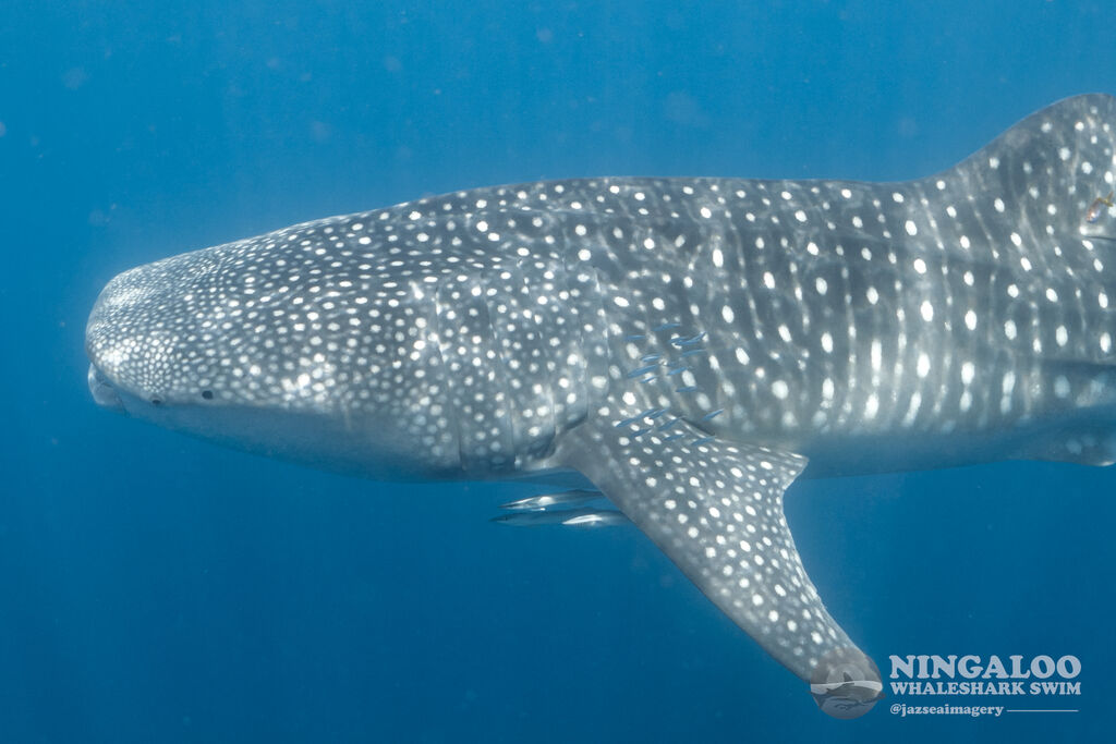 fe9e6689-8b1a-43b0-90ad-ac853604b1db