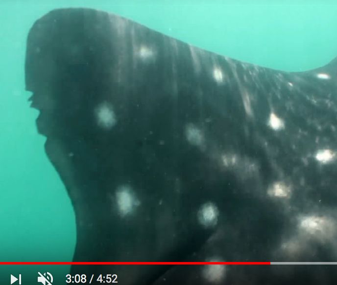 a4d24ffb-82eb-4627-a1eb-1e3655f50c5d