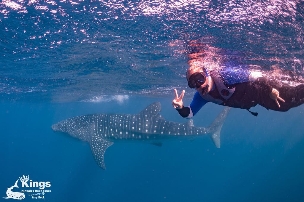 418805df-718f-464b-9b69-6a1bdfeedcf8