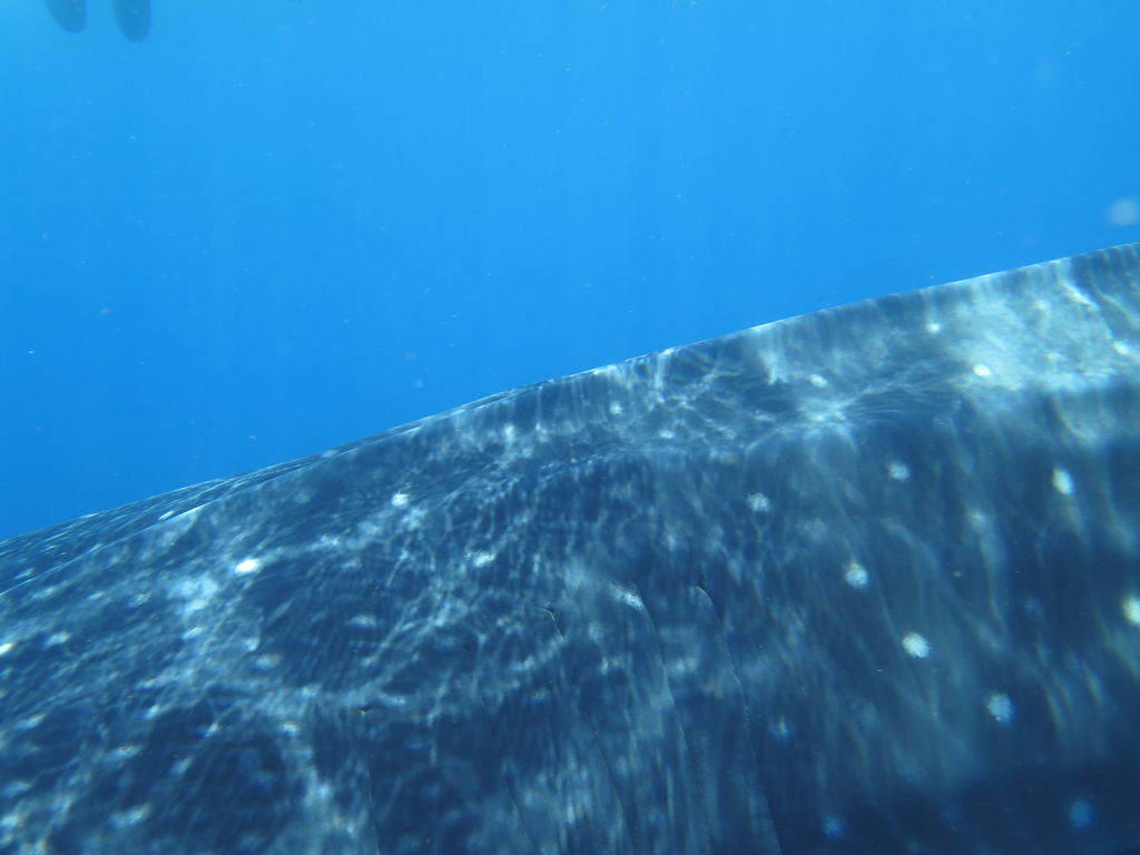 850756e2-cde0-4920-9efb-3d4292bf62b2