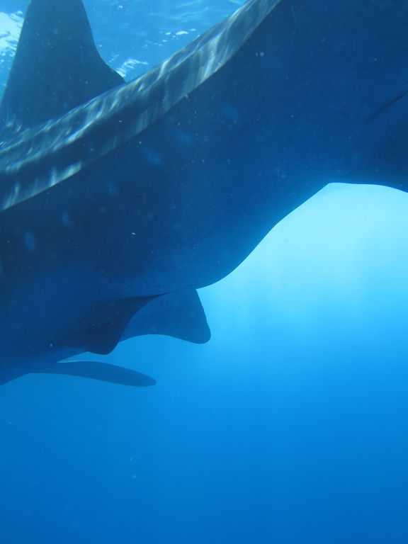 850756e2-cde0-4920-9efb-3d4292bf62b2