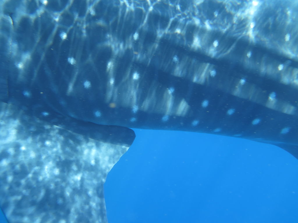 850756e2-cde0-4920-9efb-3d4292bf62b2