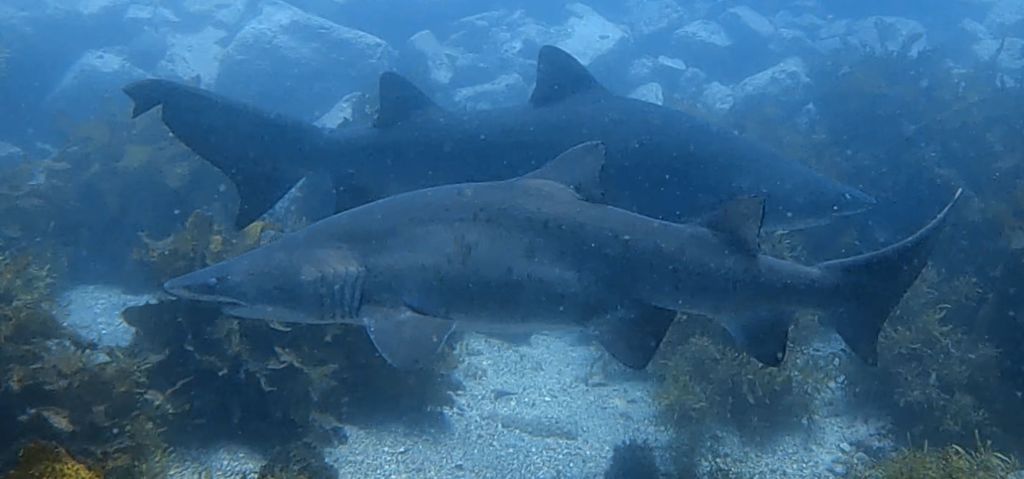 aefa7756-6249-49df-b4e8-147f04377709