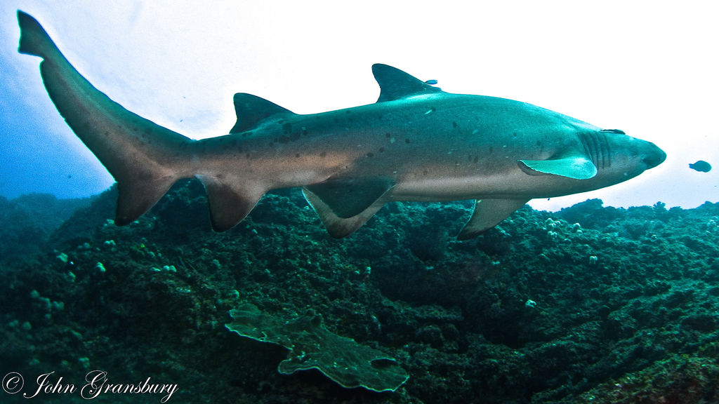 897be2e4-ea77-46fe-94a6-ffa158a11427