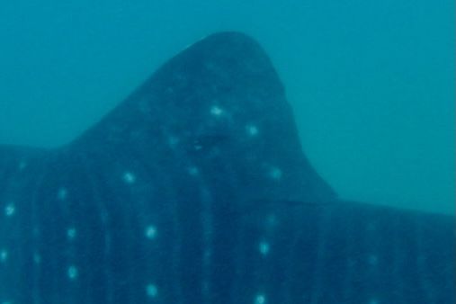 9f13ce3b-6118-4498-87ca-d96be039cee0