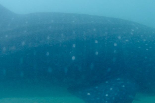 9f13ce3b-6118-4498-87ca-d96be039cee0