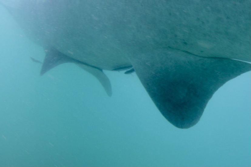 9f13ce3b-6118-4498-87ca-d96be039cee0